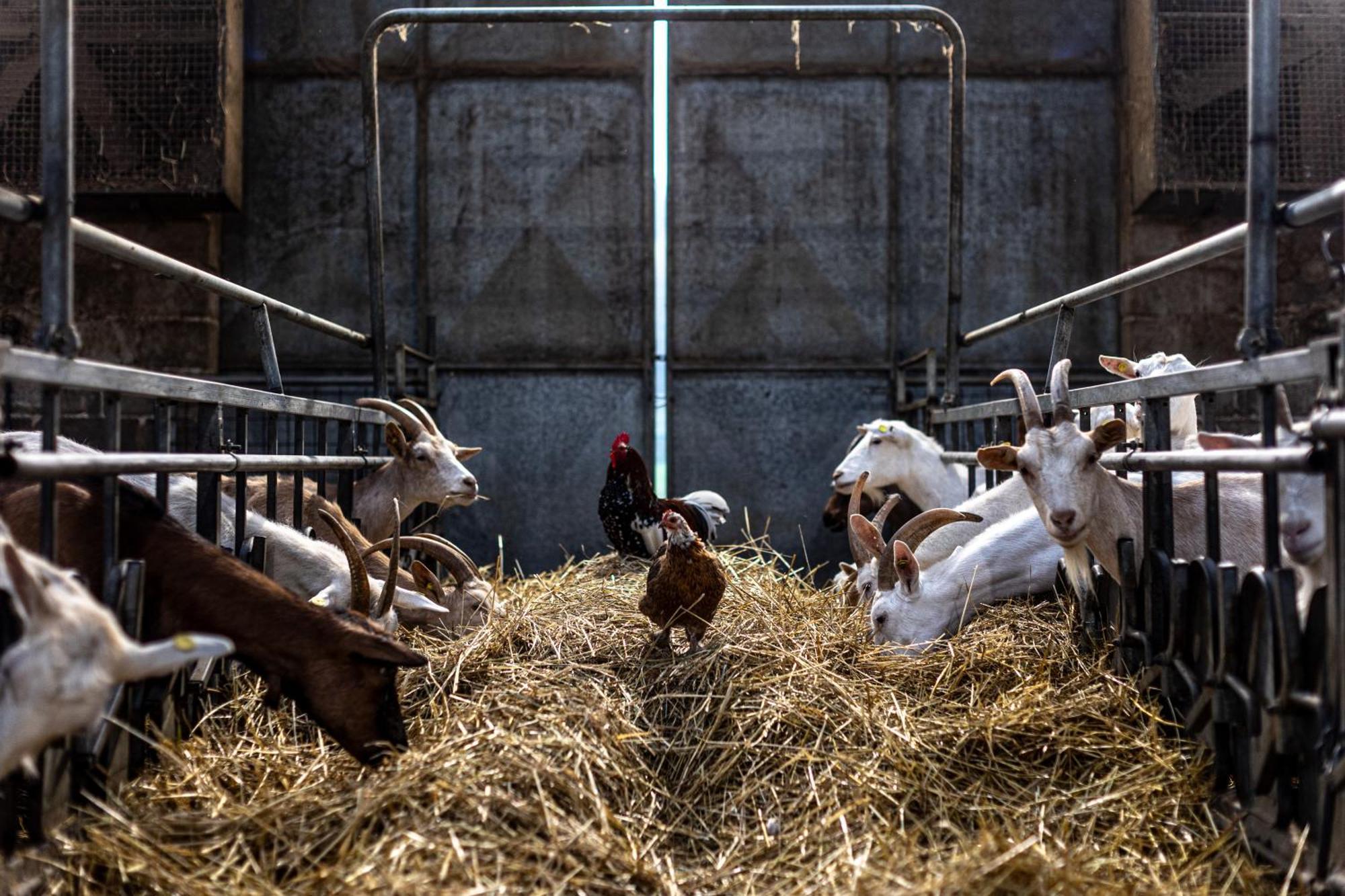 Agriturismo Why Farm Marano Ticino Экстерьер фото